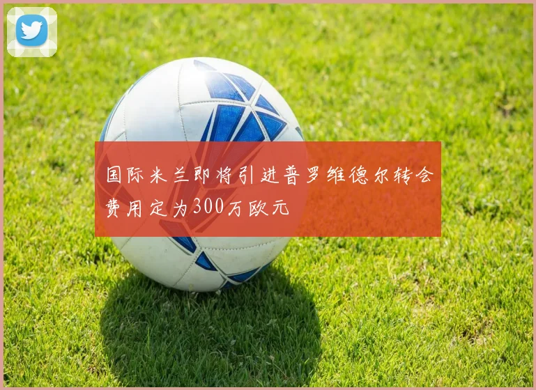 国际米兰即将引进普罗维德尔转会费用定为300万欧元