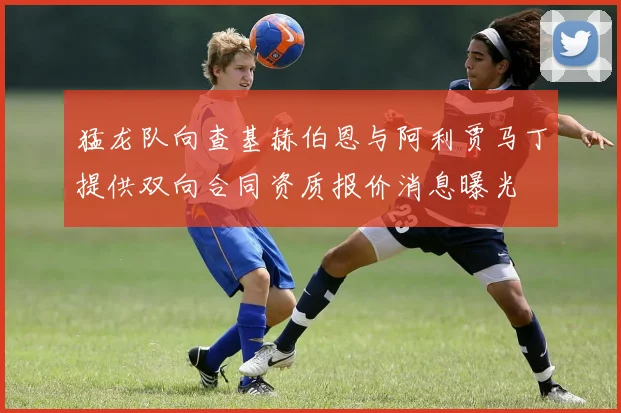 猛龙队向查基赫伯恩与阿利贾马丁提供双向合同资质报价消息曝光